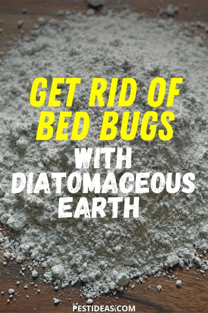 Learn How To Use Diatomaceous Earth To Kill Bed Bugs