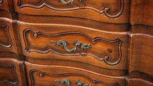 Can Bed Bugs Live in Your Dresser Drawers