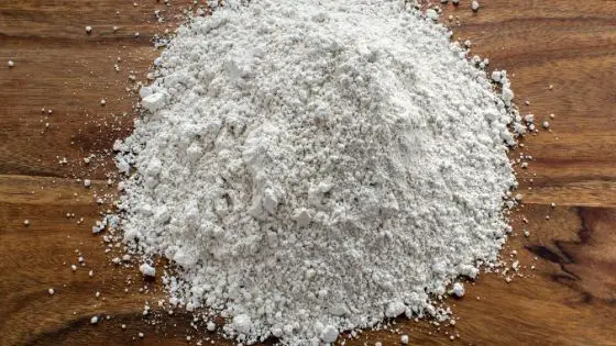 Diatomaceous earth for bed bugs