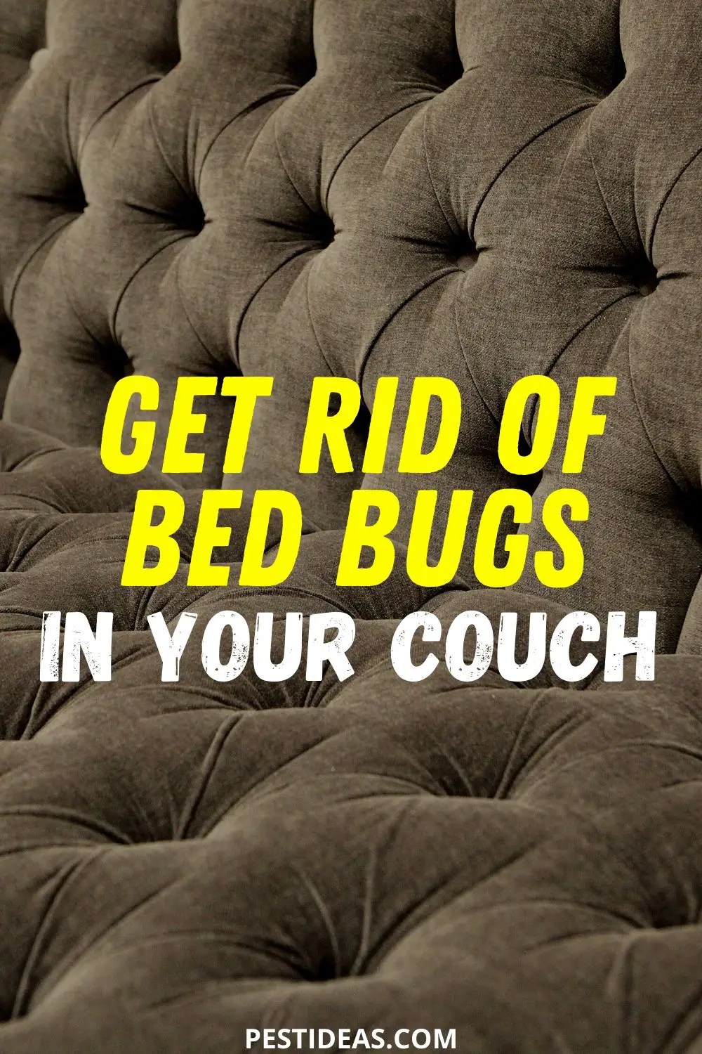 Get Rid of Bed Bugs in Your Couch- Get Rid of Bed Bugs Fast - How To Get Rid Of Bed Bugs In Couch