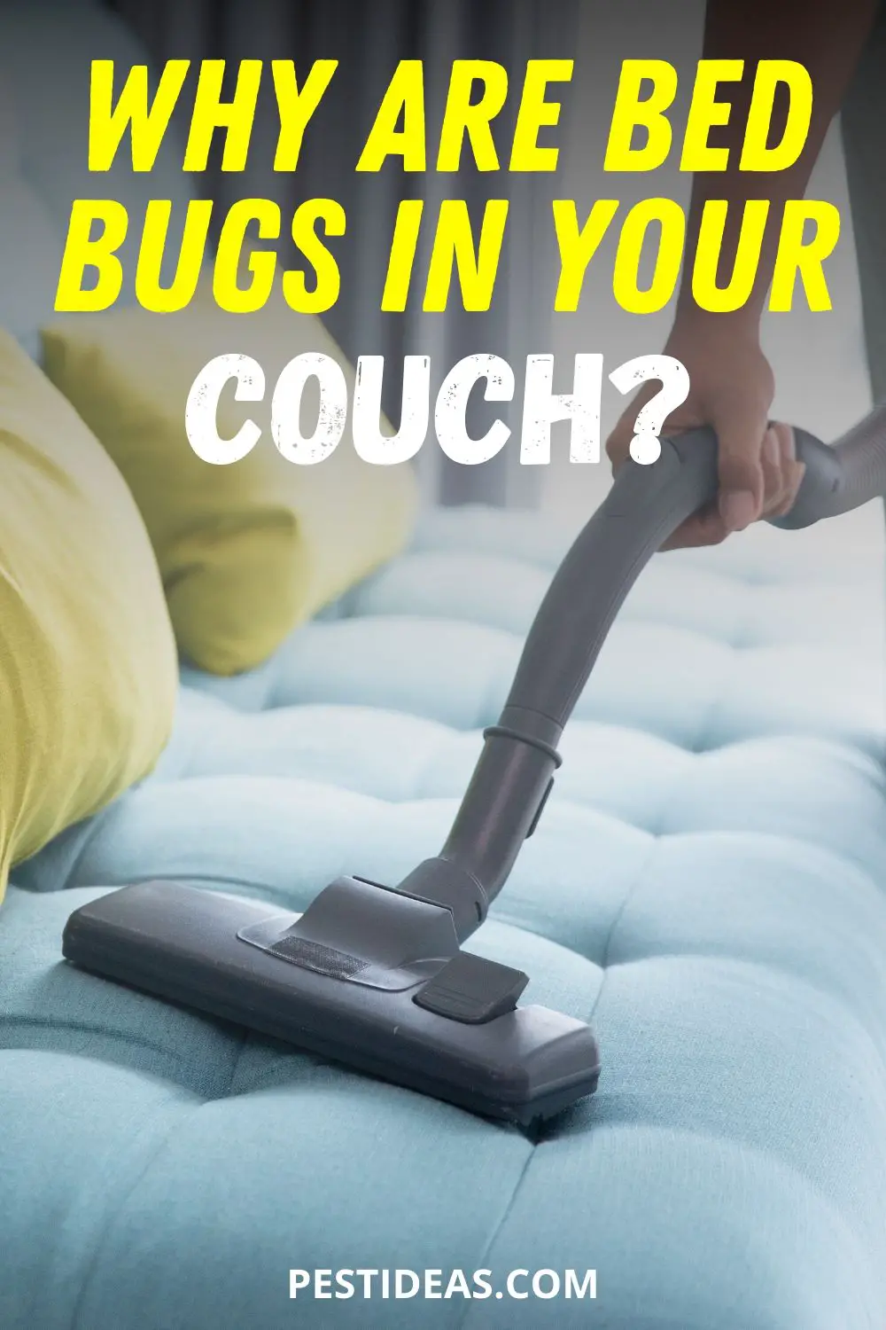 Get Rid of Bed Bugs in Your Couch- Get Rid of Bed Bugs Fast