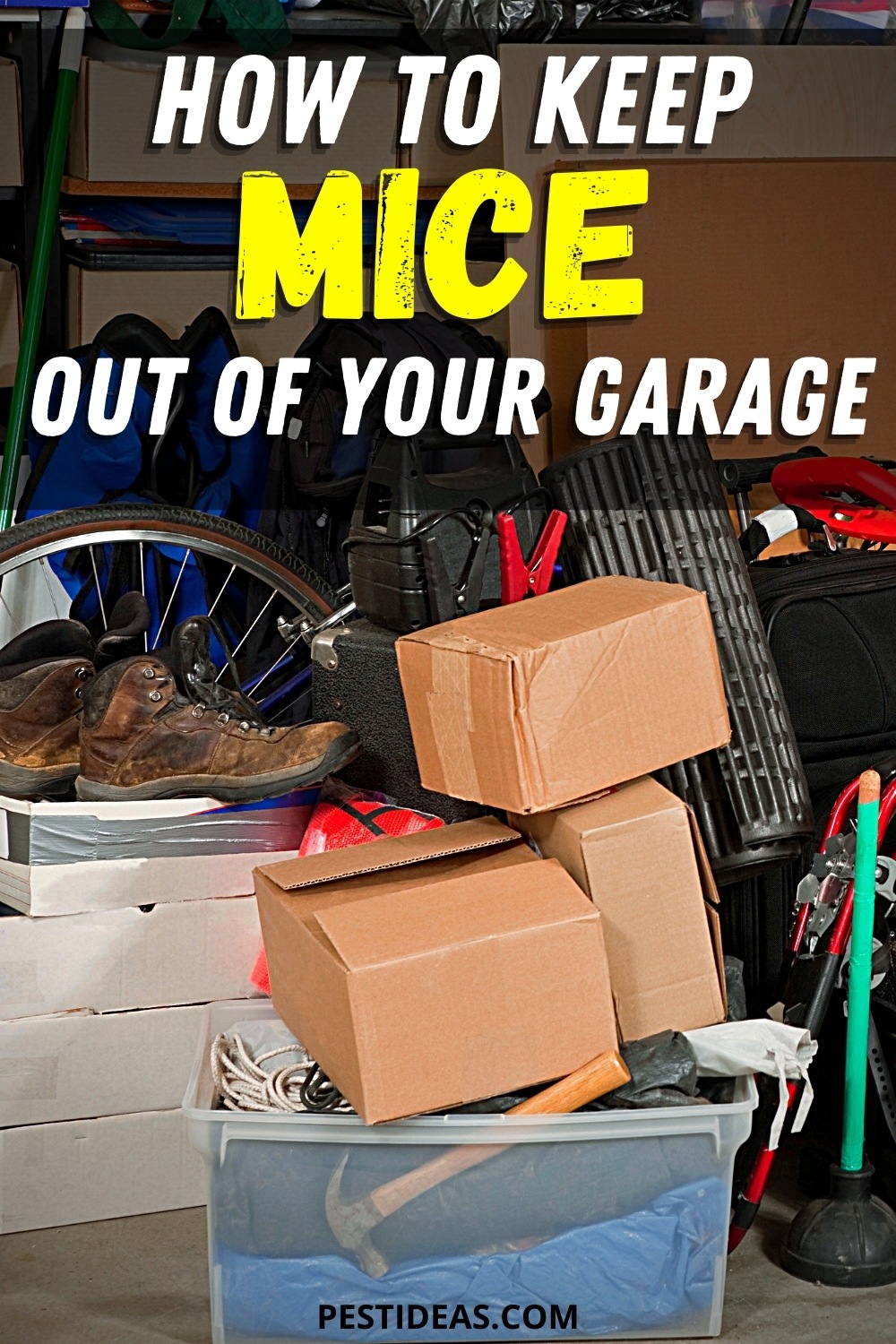 How To Keep Mice Out Of Your Garage 