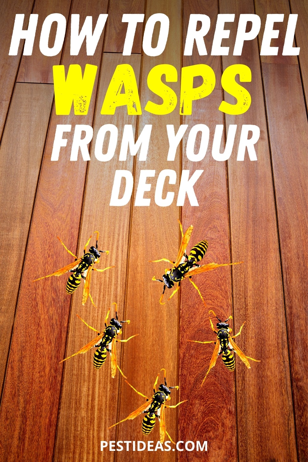 Do Wasps Eat Wood? Learn How to Stop Them (Yellow Jackets & More)