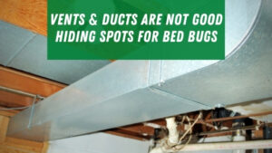 can bed bugs travel through vents