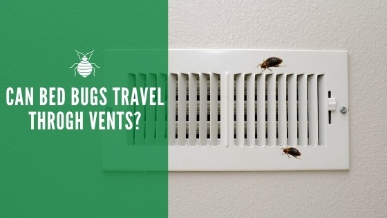 can bed bugs travel through vents and ducts