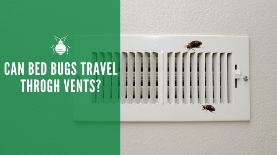 can bed bugs travel through vents