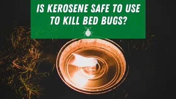 Using Kerosene to Kill Bed Bugs (Is it Safe?)