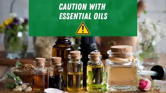 Eucalyptus Oil for Bed Bugs: Get Rid of & Repel Bed Bugs Naturally