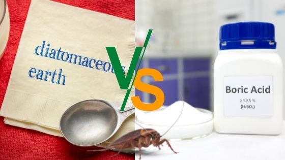 Diatomaceous Earth vs Boric Acid Roaches