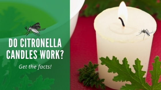 Do citronella candles work