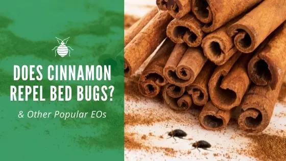 Does cinnamon repel bed bugs