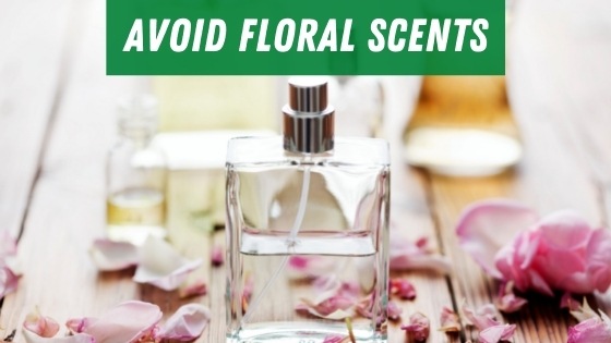 Avoid floral scents and perfumes