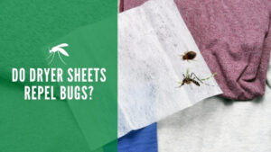 Do dryer sheets repel bugs