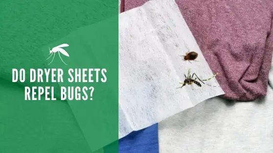 Do dryer sheets repel bugs