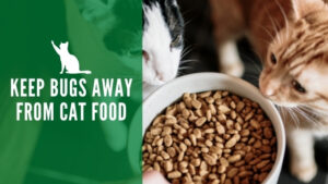 Keep bugs out of cat food