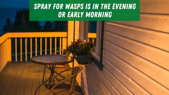 Spray for wasps in the evening or early morning