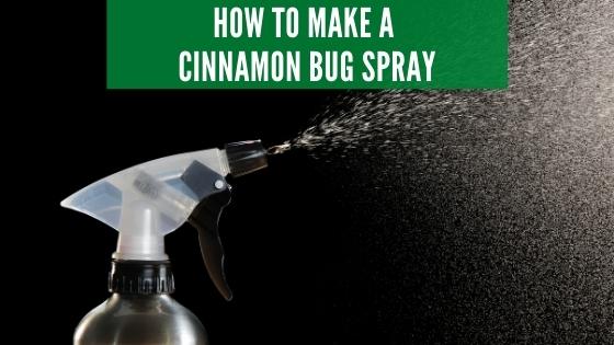 how to make a cinnamon bug spray