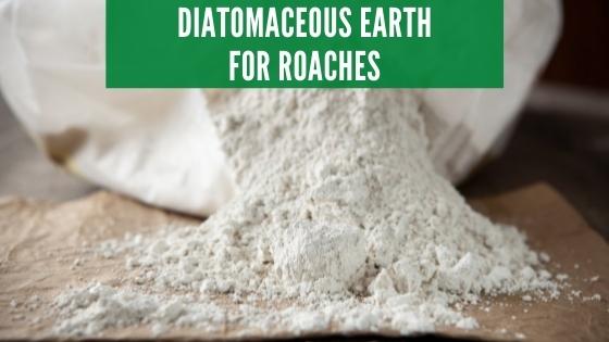  Diatomaceous earth for roaches