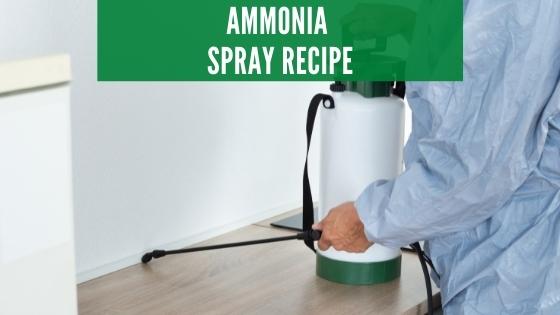 ammonia spray for roaches