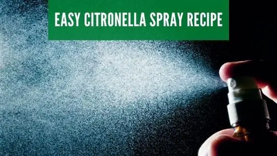 citronella spray recipe