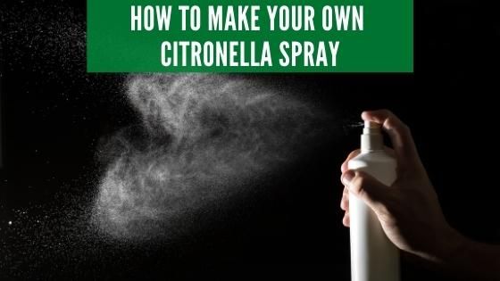 diy citronella spray recipe