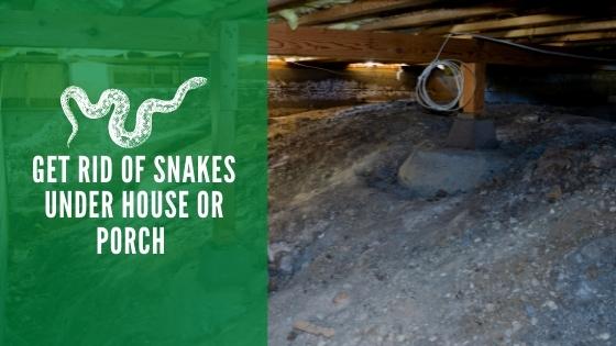 Get Rid of Snakes Under House or Porch 