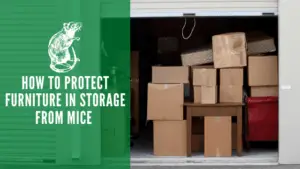 How to Protect Furniture in Storage From Mice 