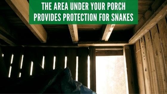 snakes under porch