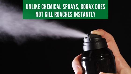 borax vs bug spray