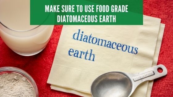 food grade diatomaceous earth for ants