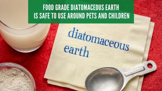 food grade diatomaceous earth for silverfish