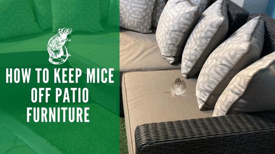 How to Keep Mice Off Patio Furniture