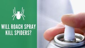 Will Roach Spray Kill Spiders