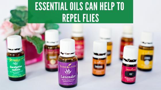 Repel flies with essential oils