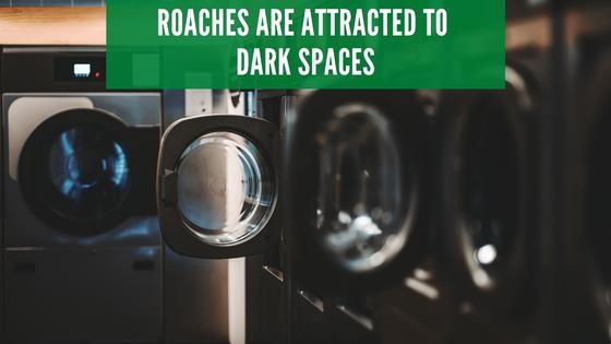 roaches are attracted to dark spaces