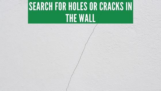 Search for holes or cracks in the walls