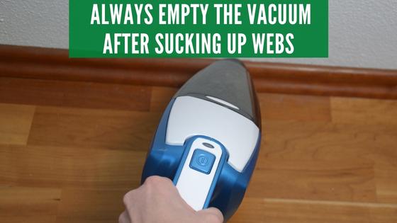 empty vacuum after vacuuming spider webs
