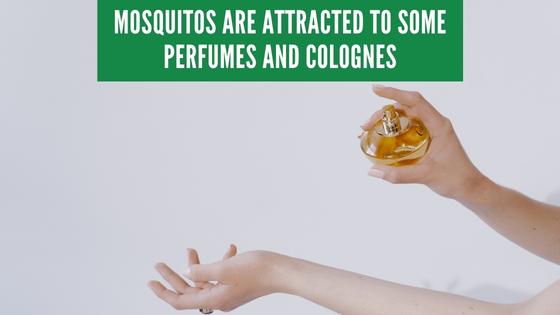 mosquitos attracted to perfume and cologne