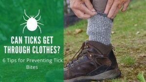 Can ticks get through clothes