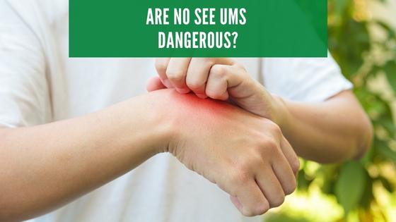 Are no see ums dangerous