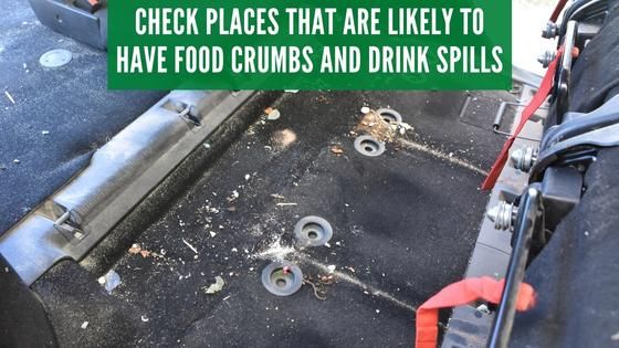 check for crumbs and spills in car