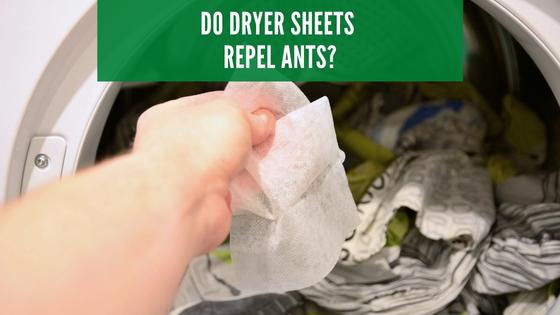 do dryer sheets repel ants