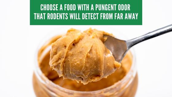 get rid of rats with salt and peanut butter