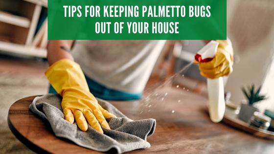 keep a clean house to repel palmetto bugs
