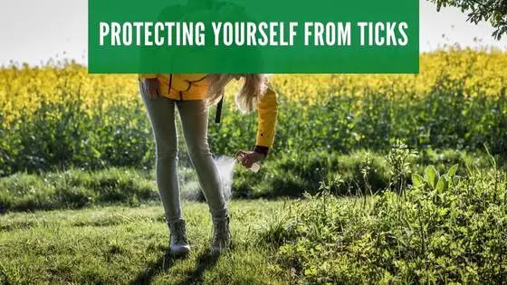 Protecting yourself from ticks