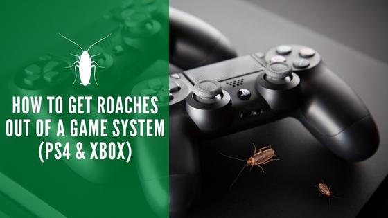 How to Get Roaches Out of a Game System (PS4 & Xbox)