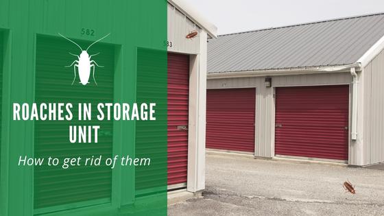 roaches in storage unit