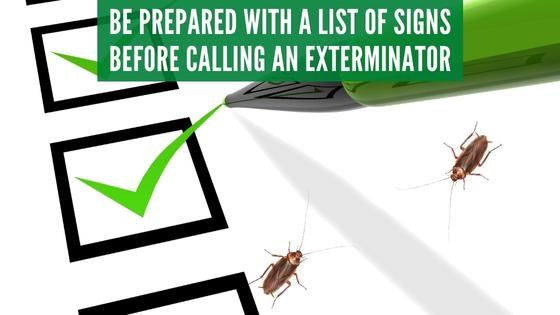 when to call an exterminator for roaches, signs