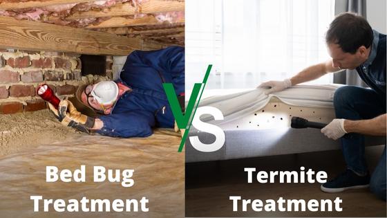 Termite treatment vs bed bug treatment