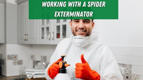 working with a spider exterminator
